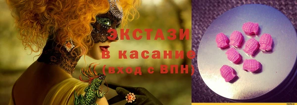 шишки Верея