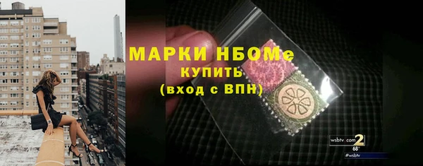 шишки Верея