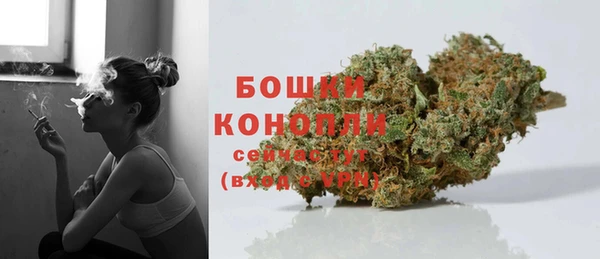 шишки Верея