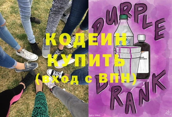 шишки Верея