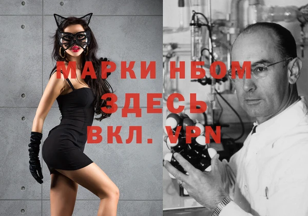 шишки Верея