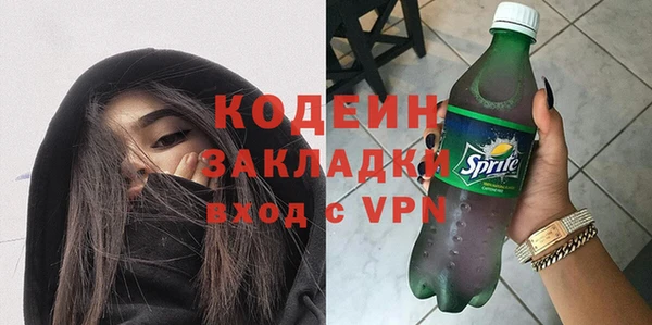 шишки Верея