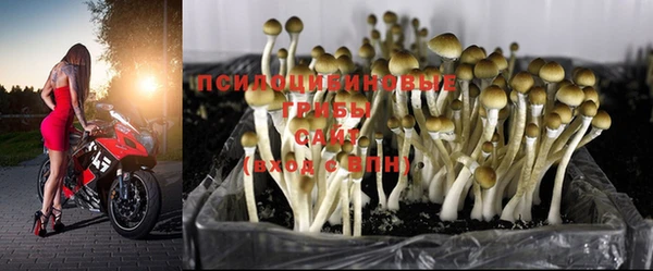 прущие крисы Володарск