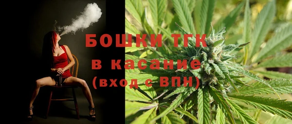 шишки Верея