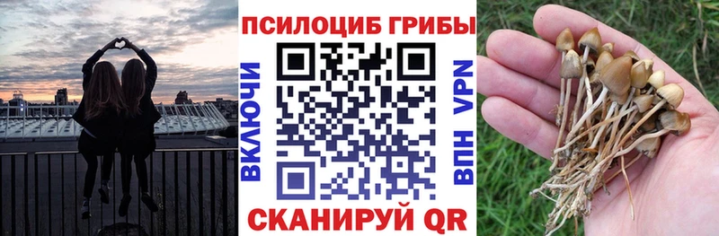 Псилоцибиновые грибы MAGIC MUSHROOMS  Лихославль 