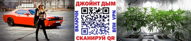 Бошки Шишки конопля  Лихославль 
